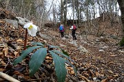 In CORNAGERA e MONTE POIETO da Aviatico il 4 febbraio 2018 -  FOTOGALLERY